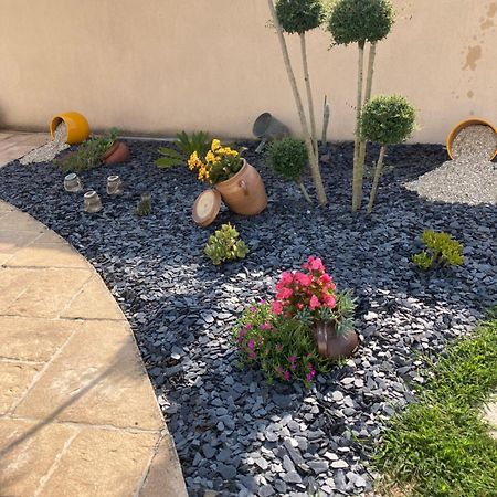 Petite Maison Dans Le Jardin Ars-en-Re Bagian luar foto